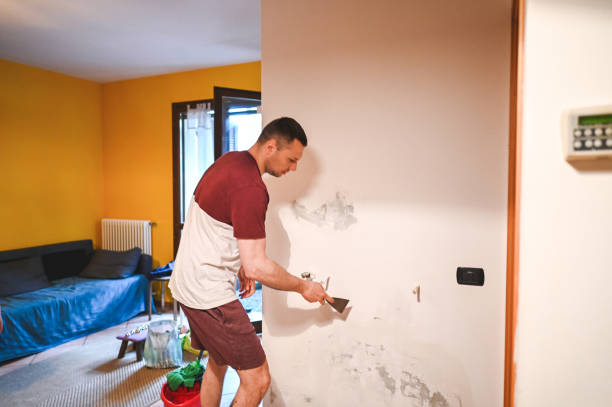 Best Office Mold Removal Services  in Winnfield, LA