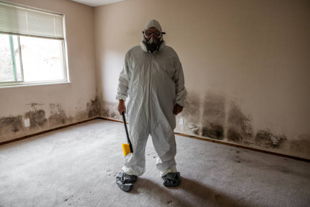 Best Mold Testing  in Winnfield, LA